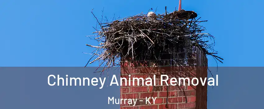 Chimney Animal Removal Murray - KY