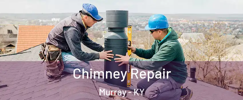  Chimney Repair Murray - KY