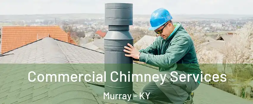  Commercial Chimney Services Murray - KY